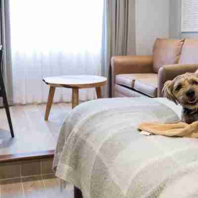 North Lakes Hotel and Spa Rooms