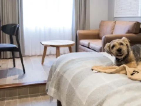 North Lakes Hotel and Spa Hotels near Penrith Castle