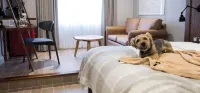 North Lakes Hotel and Spa Hotels in 