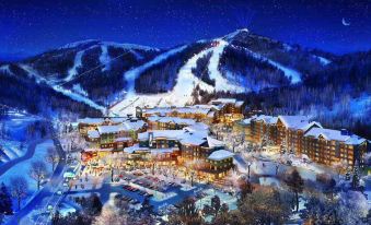 Thaiwoo & Secret Garden ski resorts