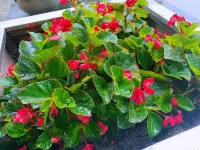 Yancheng Xinjun Hotel