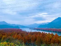 Wangshan Qiju Guesthouse - สัตว์เลี้ยง