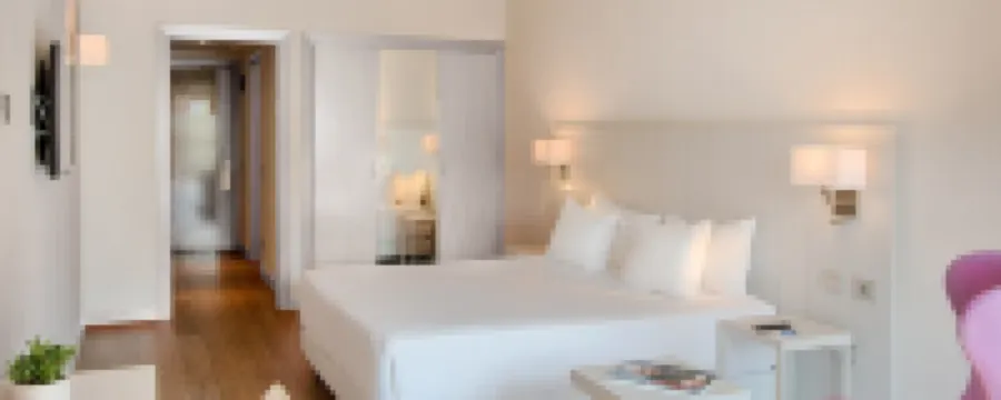 Hotel NH Pontevecchio