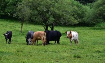 Yuxi Jiaguzhai Reception Station