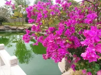 Muyun International Hotel