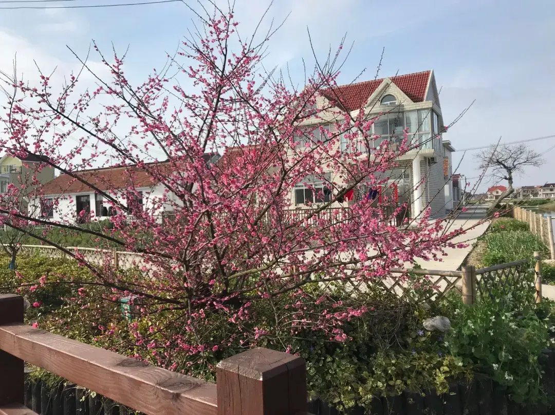 Qi Ling Wu Homestay - 上海
