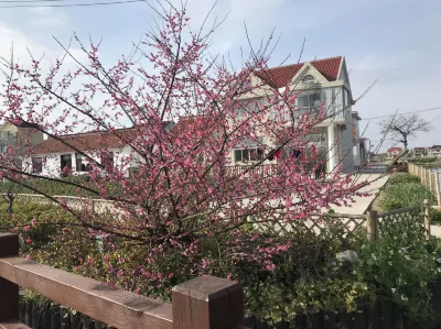 Qi Ling Wu Homestay Hotels near Hengsha Island