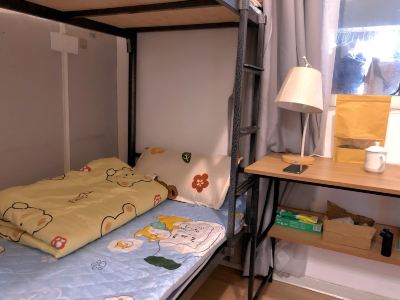 blue whale apartment