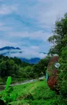 Jingdezhen Yuli Scenic Area Countryside Ant Homestay - romantici