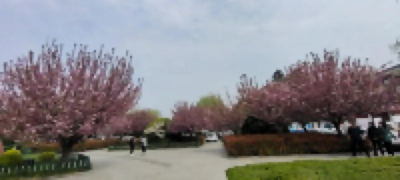 Xi'an Terracotta Warriors and Horses Xingqin Inn