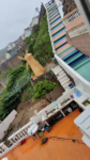 Shengsi Wolfberry Jiaxinhai Homestay