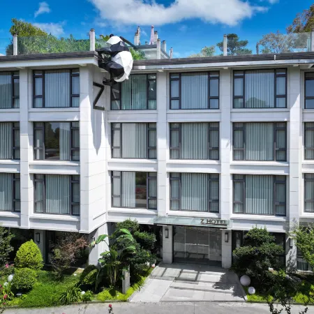 Z HOTEL (Qingchengshan)
