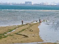 Xi Su Couryard(Jiageng Gymnasium Branch,Jimei School Village) - Strand