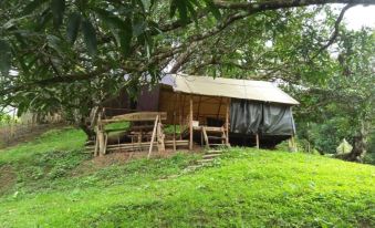 Cebu Hostel and Glamping