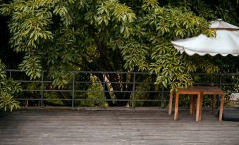 Sancha Lake Balang's Yard