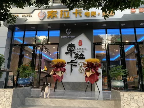 Solaka E-sports Hotel - Pet friendly