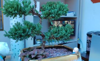 Chaochanghui Qiu Homestay