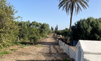 Dar Louzir a Tazarka