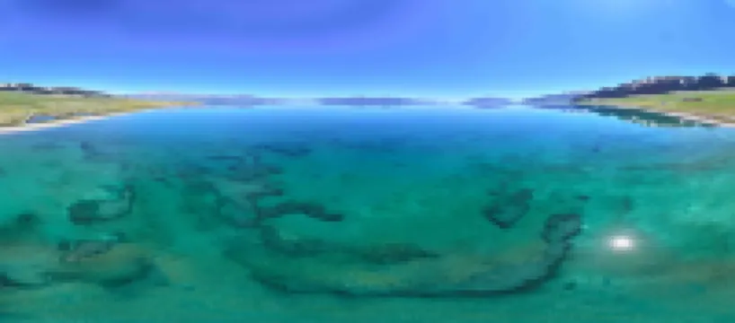 Selim Lake Spruce Resort