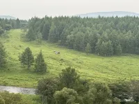 阿爾山老媽媽山珍野味飯店