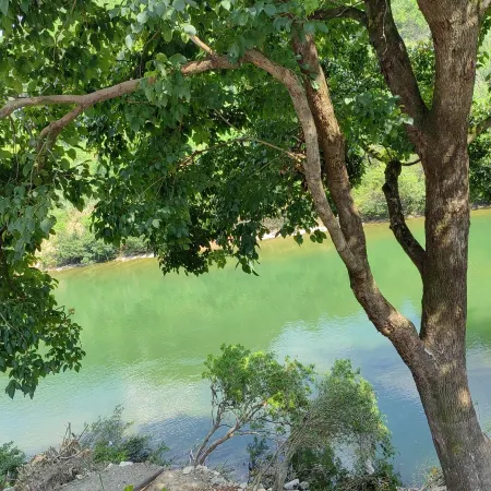 Yunqi Shanjie Homestay (Libo Xiaoqikong East Gate)