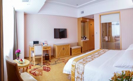 Vienna Hotel (Nanning Minzhu Road) - Housity
