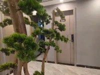 Mercure Castello (Nanyang Normal University)