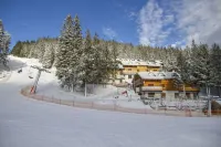 Wellness Hotel Montis 모지례 호텔