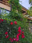 Zhangjiajie Ershidu Country House - Villas