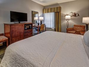 Hampton Inn & Suites Pigeon Forge on the Parkway