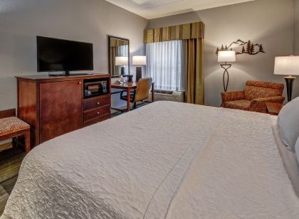 Hampton Inn & Suites Pigeon Forge on the Parkway