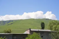 那拉提天疆情中国式旅館 - イン(INN)