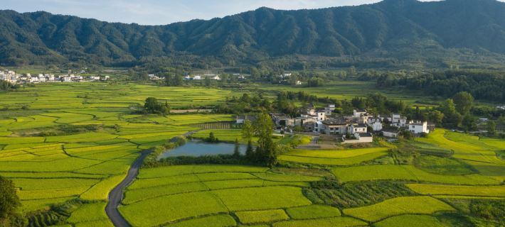 黄山澍德堂•イ県交叉小徑的ガーデン 黟県のホテル