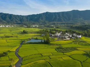 黄山澍德堂•イ県交叉小徑的ガーデン