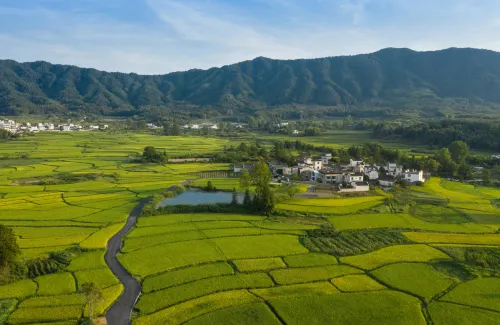 黄山澍德堂•イ県交叉小徑的ガーデン - 5つ星