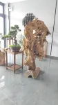 Menglian Yuesu Mangtianlian Hotel