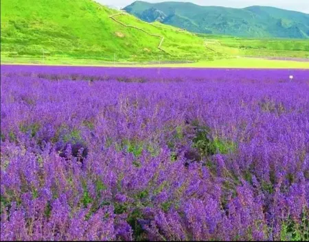 Guiyuan Business Hotel Отели рядом с достопримечательностью «Huanglongshan Yuanshi Forest Sceneic Area»