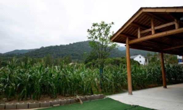 Louqin Daye Homestay (Yaolin Fairyland)