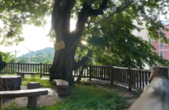 Yunqichu Homestay (Wumeng Grass Plain)