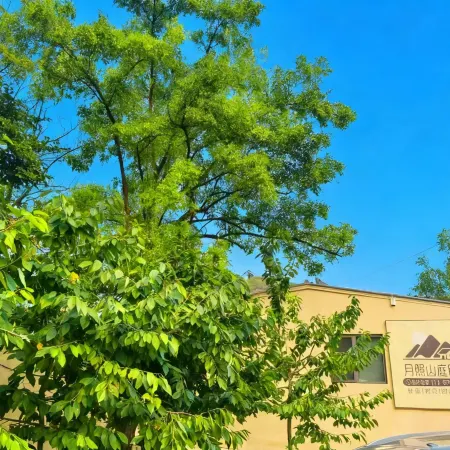 Yuezhaoshan Homestay