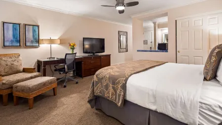 Best Western Plus Island Palms Hotel & Marina Отели рядом с достопримечательностью «Пойнт Лома»