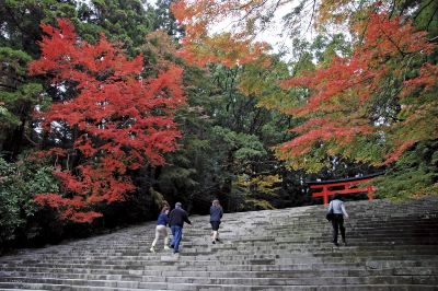 ホテル周辺 霧島国際ホテルの写真