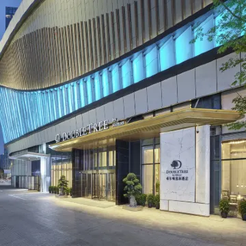 成都濱江希爾頓逸林飯店（東郊記憶店） 崔家店附近的飯店