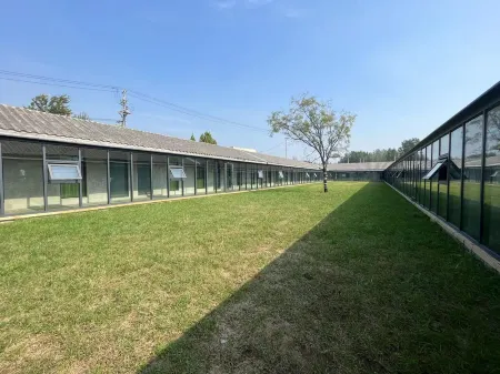 Surabaya Longwan Academy