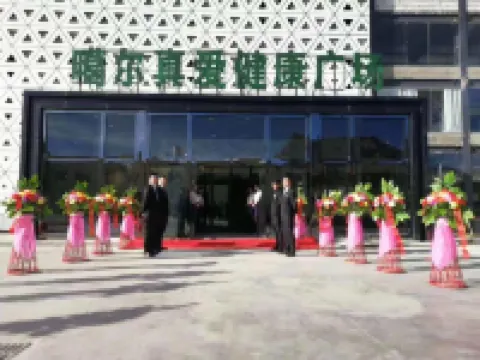 Tibet Ali Hotel Hotels in Gar County