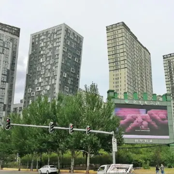 Harbin Yijia B & B