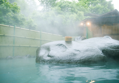 Hot spring hotels