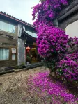 雲嵐客棧（麗江古城四方街店） 麗江梵谷星空藝術館附近的飯店