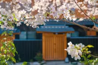 SeseragiSakura Hotel a 