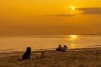Chasing Light and Meeting Homestay